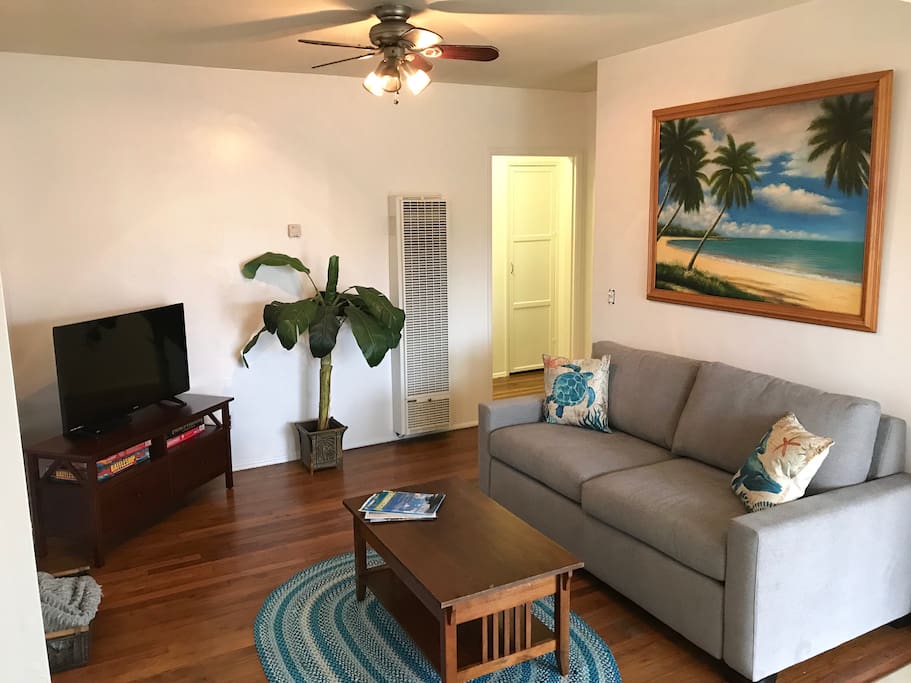 Living room couch with pullout and futon on opposite wall