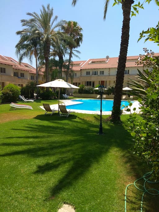 The pool