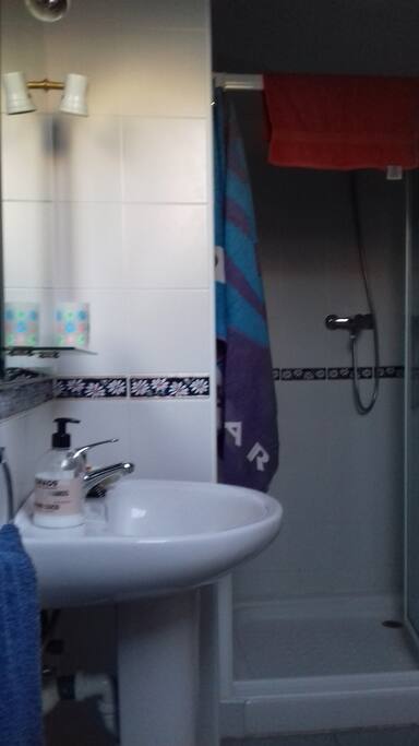 Cuarto de baño privado con ducha
