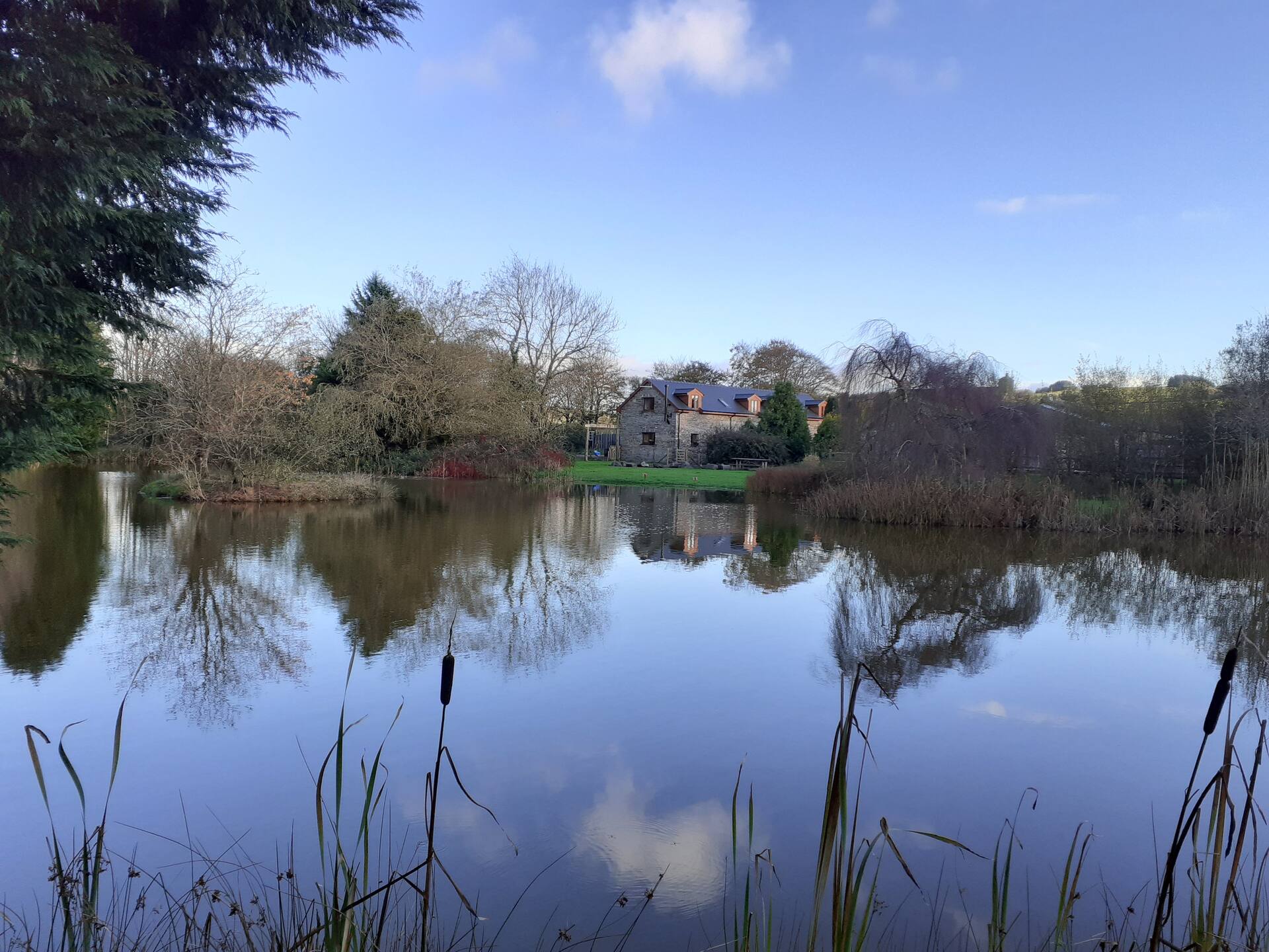 Mwsogl - Luxurious Family Fishing Lodge Near Aberaeron With Private Fishing