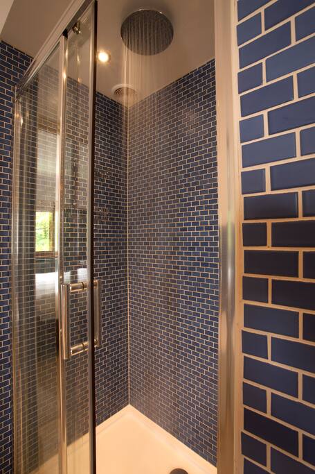 Luxury rainforest shower