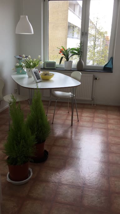 Spacious kitchen!