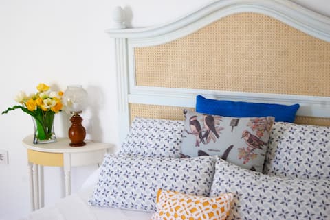 House in the center: "El Patio del Limonero"