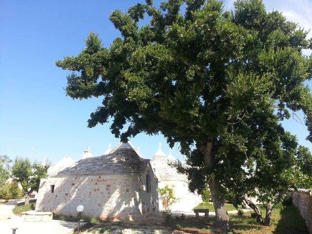 Almapetra Trulli Resort – Trullo “La Quercia” gallery image 3