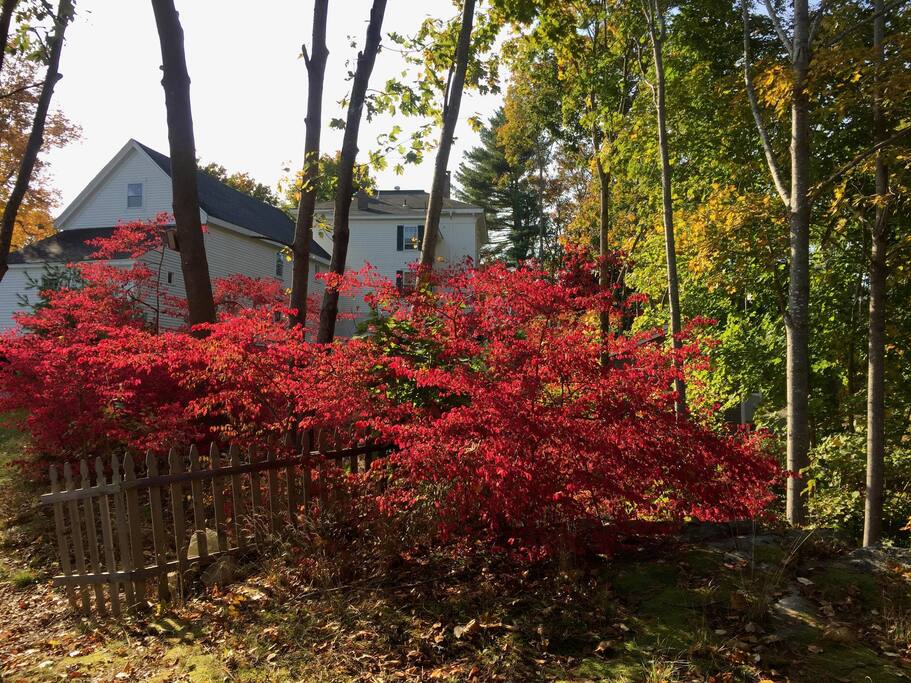 Our Home in the fall