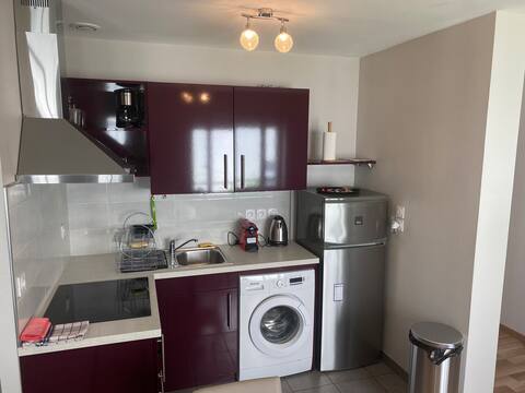 Apartment downtown Annemasse N*101