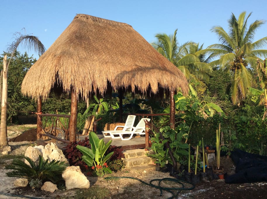 Palapa with cot or hamacas
