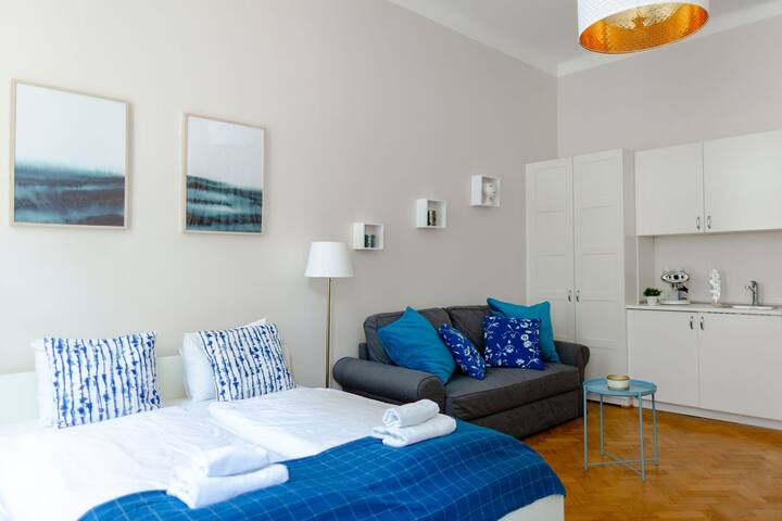 Typical Viennese Apartment 7 min by feet to center gallery image 5