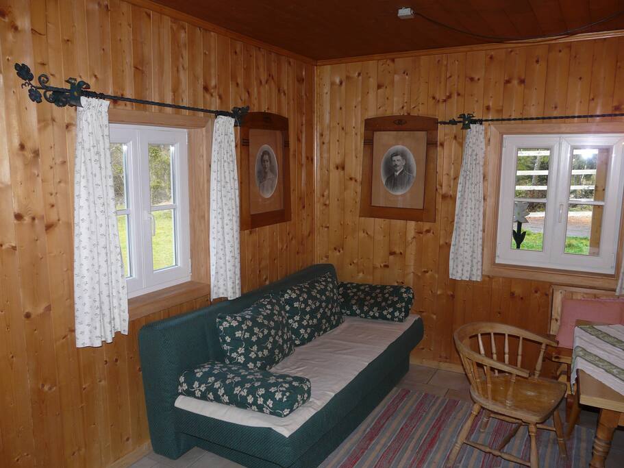 Living room with a sofa bed