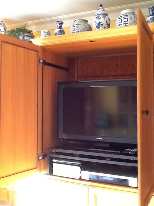 The cabinet across from the sofa bed contains a flat screen TV, equipped with Cable service and a DVD player.