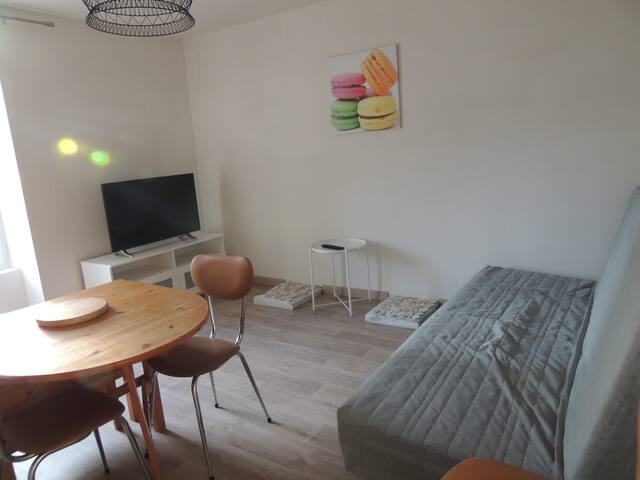 Furnished apartment, La Roche sur Yon