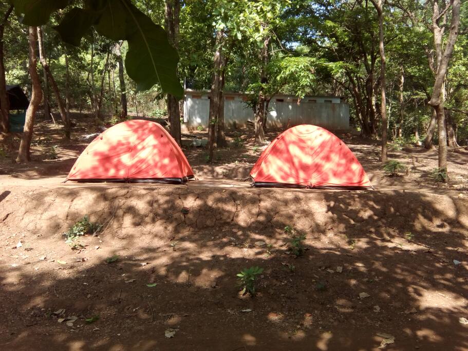 Tents