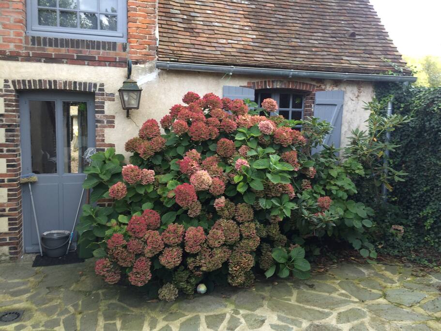 Arrière de la maison sur terrasse