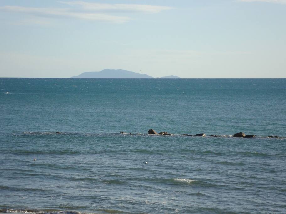 La spiaggia di fronte alla casa, sullo sfondo l'Isola del Giglio
