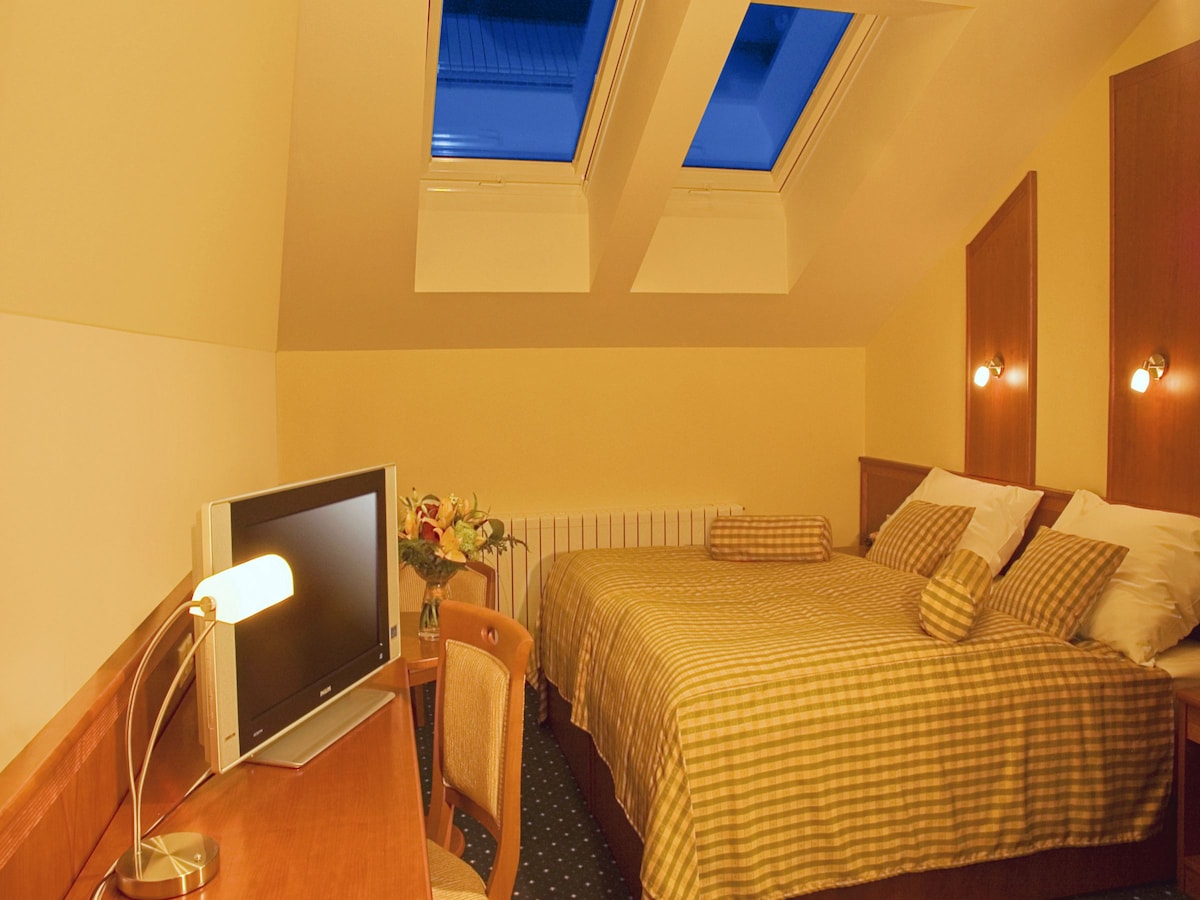 A bright and airy room features a spacious bed with checkered bedding, complemented by two decorative pillows. A sleek desk is positioned next to a television, and a vase of flowers adds a touch of elegance. Natural light filters through two skylights in the sloped ceiling.