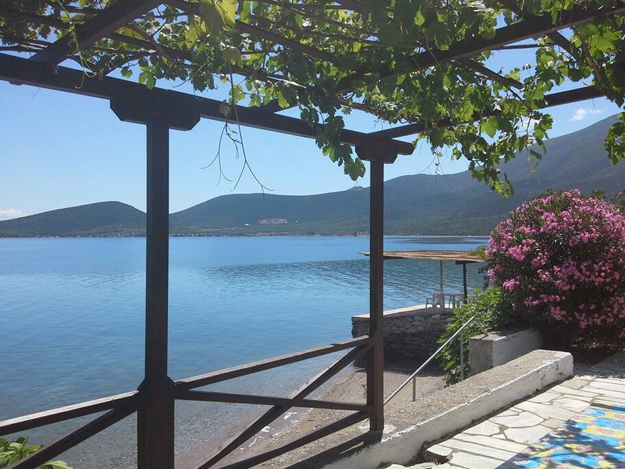 The Veranda View