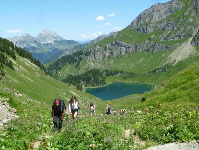 Stunning Swiss Chalet. gallery image 4