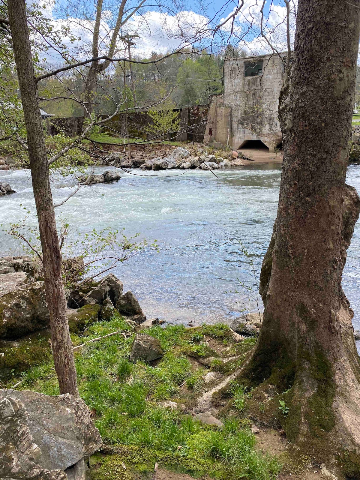 A peaceful riverside scene is depicted, featuring clear water flowing past rocks. Trees frame the view, with a large tree trunk in the foreground. An old structure is visible on the opposite bank, partially obscured by greenery, under a blue sky with clouds.