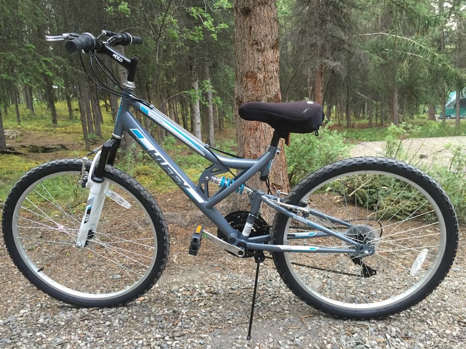This is a bicycle we offer for rental to our guests. Rate: $15/day