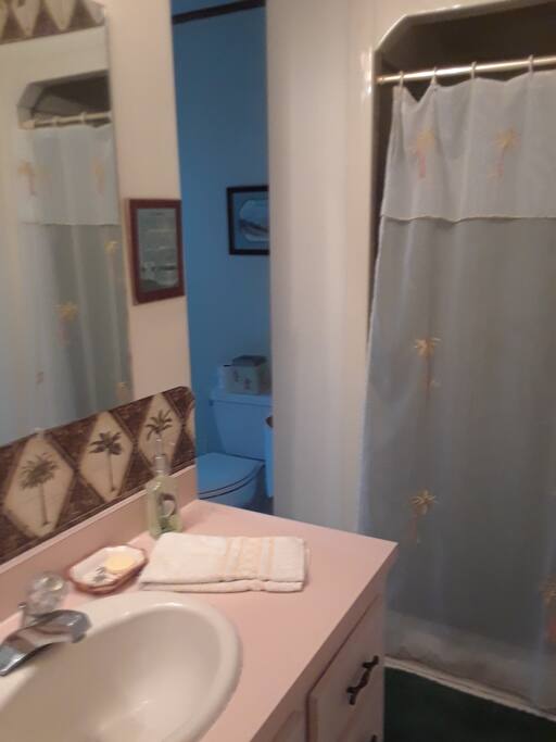 Large bathroom