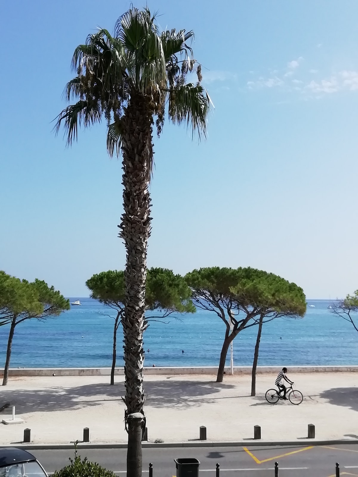 Leistungsstarkes Airbnb: "Waterfront" in La Ciotat