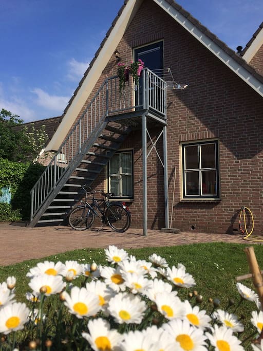 Van de fietsen kunt u gratis gebruik maken tijdens u verblijf bij ons!