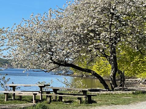 Tullebo! For nature lovers: beach, forest, tranquility.