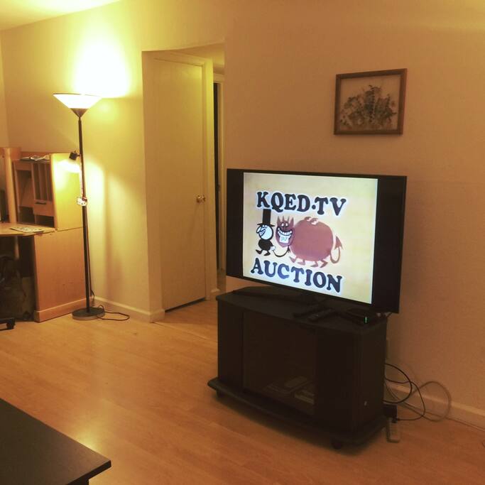 New 48" Flat Screen TV