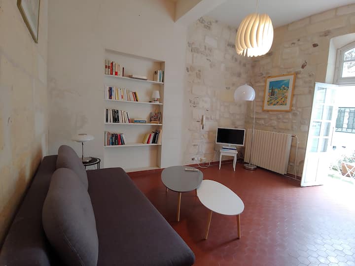 Bel Appartement Climatisé,cœur Historique, Cour - Place du Forum