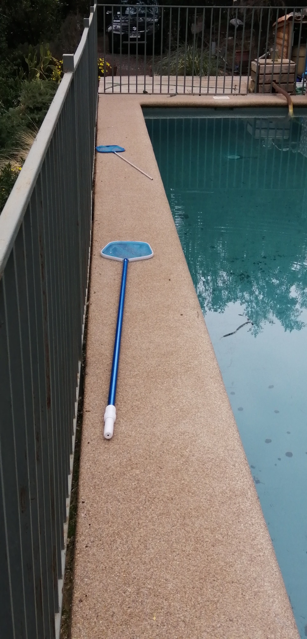 A tranquil pool area is depicted, featuring a rectangular swimming pool with clear water. A blue skimmer pole rests on the textured pool deck, bordered by a metal fence in the background. Lush greenery surrounds the area, suggesting a serene outdoor environment.