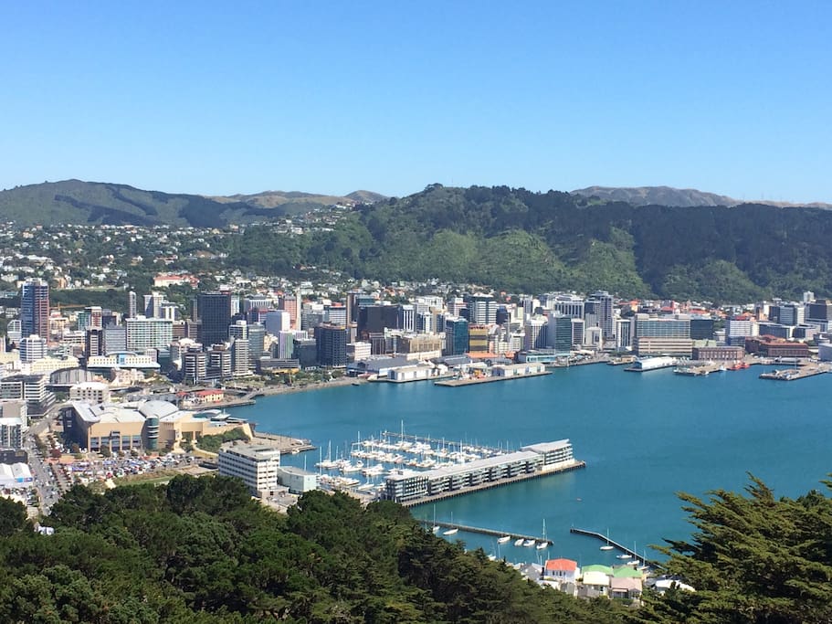 Our home is one of the Piermont apartments, opposite Te Papa, the large building at the lower left of this photo. It's at the very heart of Wellington.