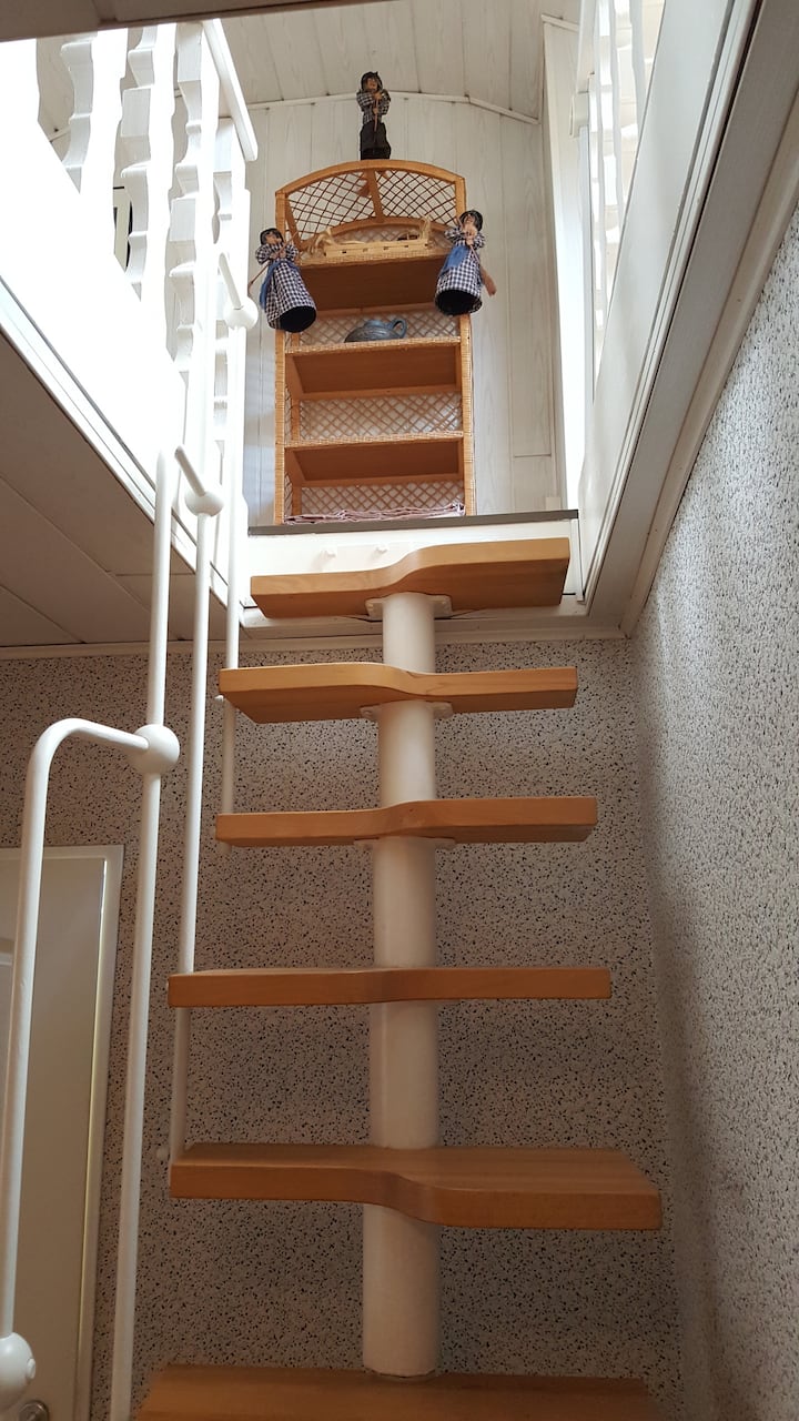 Стълби до студио на покрива (подходящо само за физически безопасни хора)