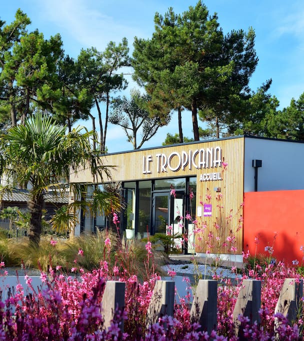 Réception du camping ****