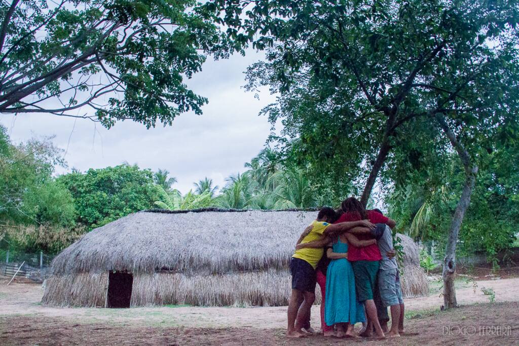 Grupo de amigos, abraçando um jovem pé de graviola.