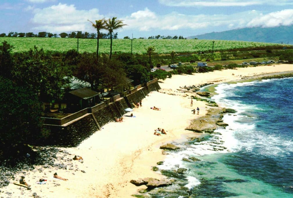 Ho'okipa Beach, a 4 min. drive. Great for swimming, snorkeling, encountering turtles, surfing and laying in the sun