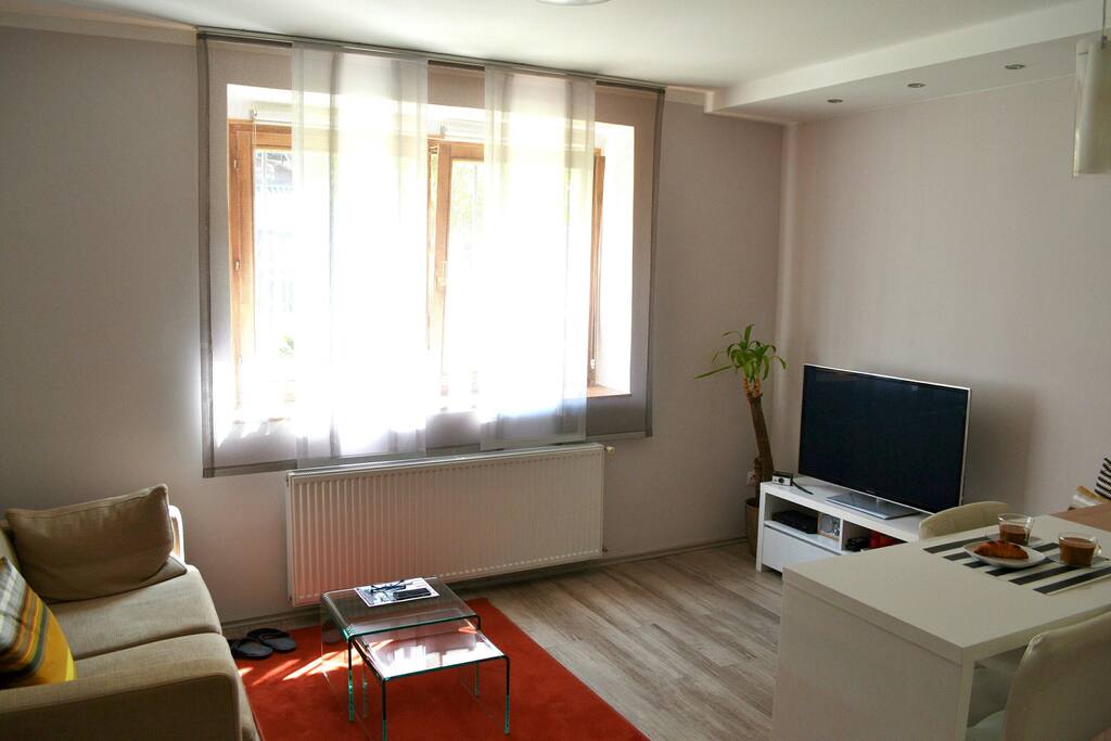 Living room area with flat screen TV and 100 satelite channels
