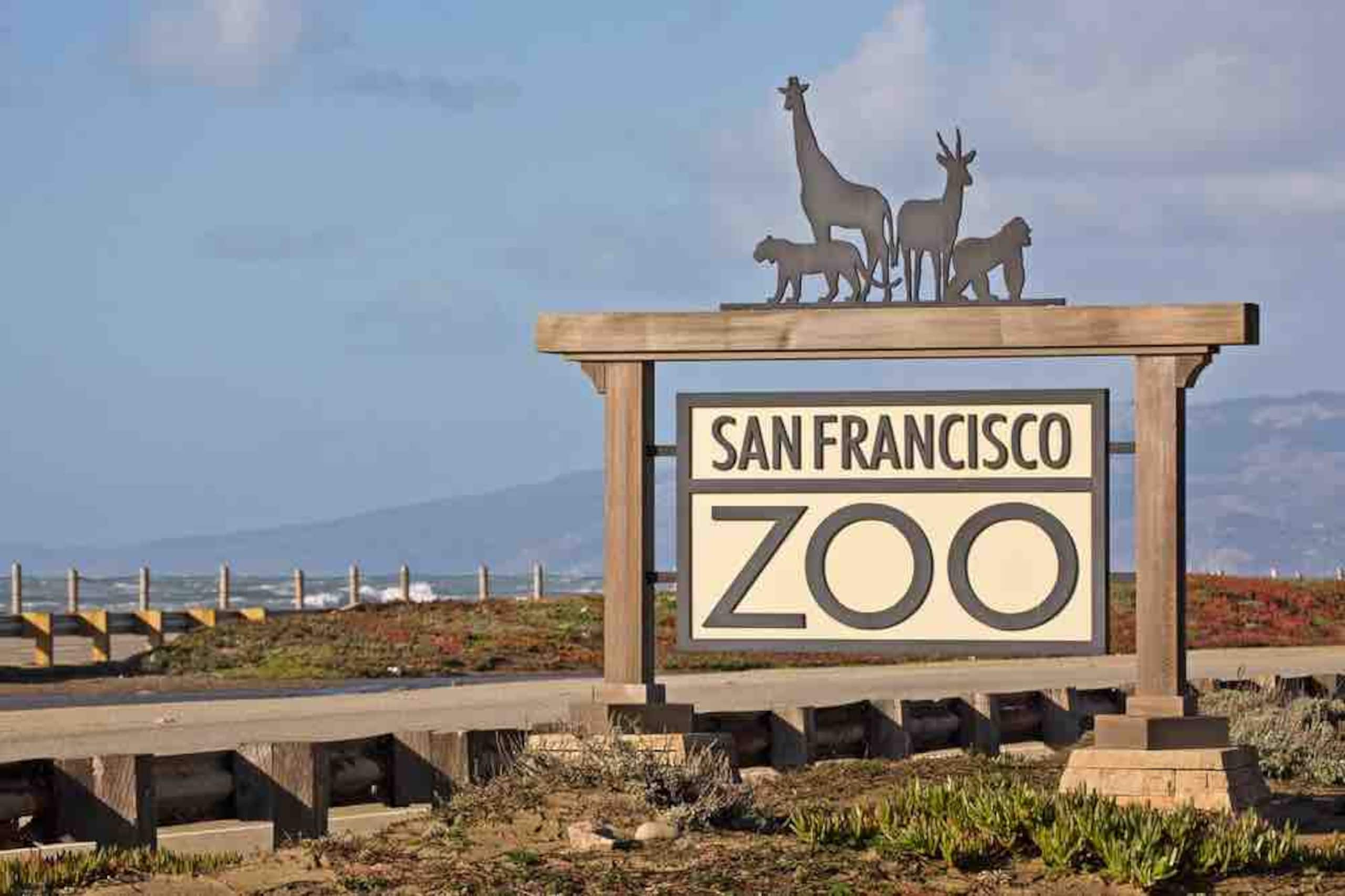 Home in San Francisco · ★4.68 · 2 bedrooms · 5 beds · 1 bath - Image 33
