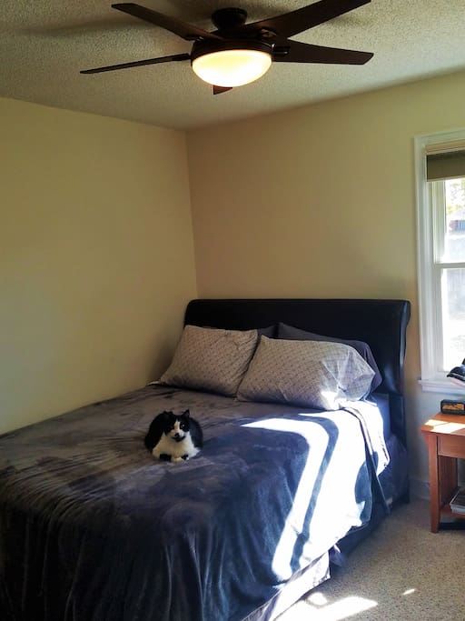 Queen sized bed with cozy bedding and Toby