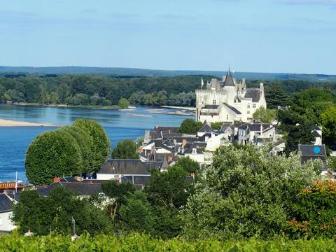 A hanging garden on the Loire River .