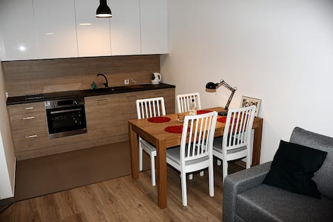 Gdansk Old Town Apartment