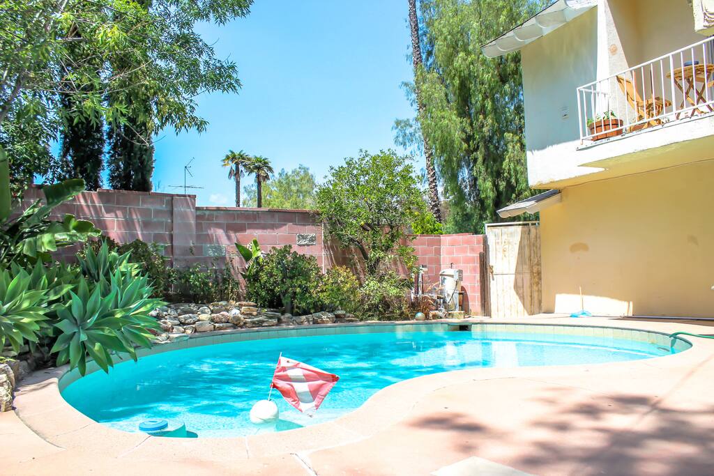 The pool