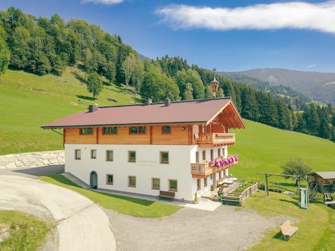 Erfolgreiche Airbnb-Immobilie: App. Nord - Welcome to Bamerhof in Mittersill! in Mittersill