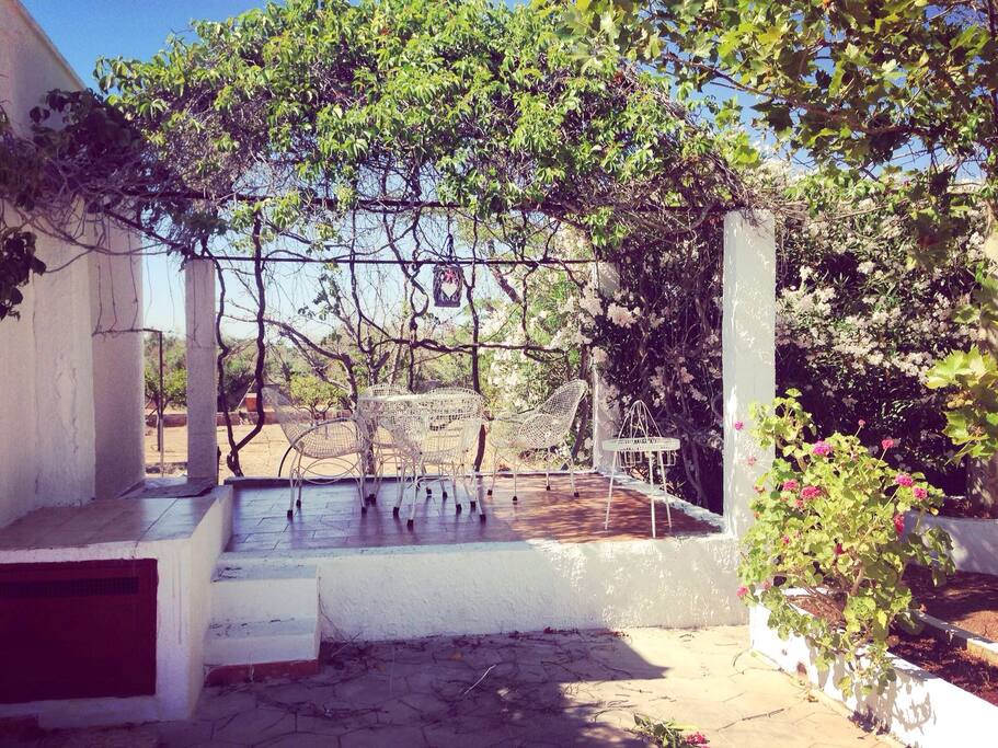 Patio