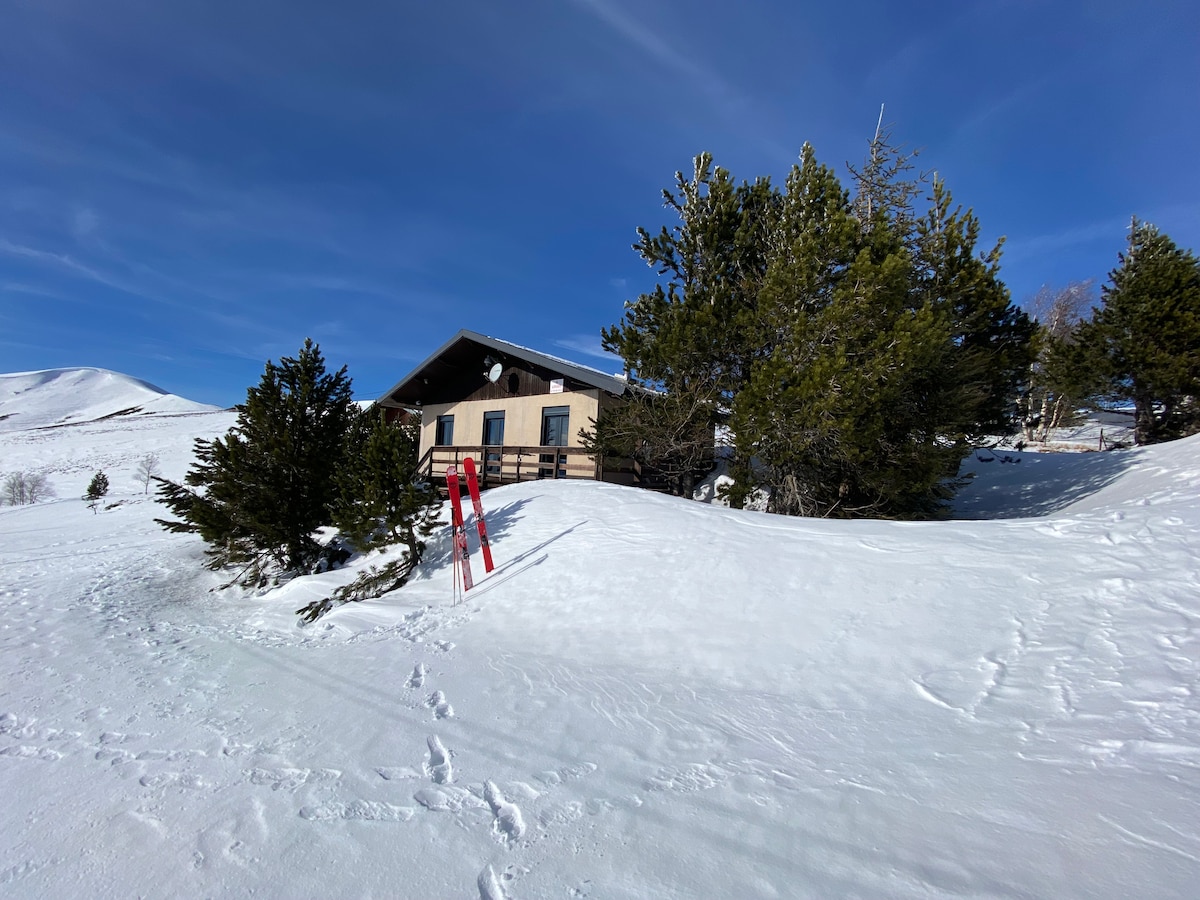 A chalet is nestled among snow-covered terrain, surrounded by tall, green conifer trees. The structure features a sloped roof and large windows, with ski equipment positioned nearby in the snow. Bright blue skies create a serene backdrop to the winter setting.