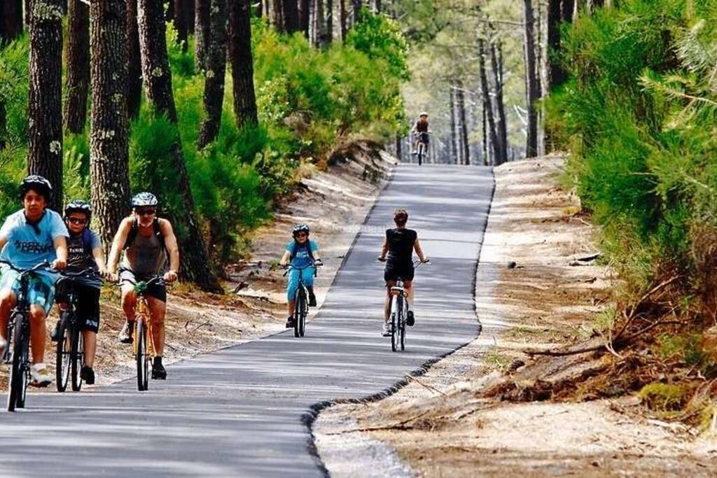 Pistes cyclables aux portes du camping