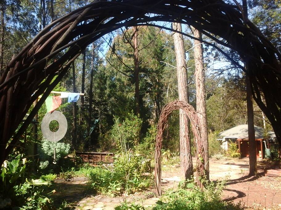 The garden