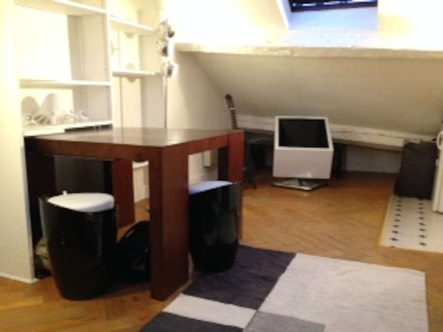 Bright and airy studio with two large roof windows overlooking central Paris