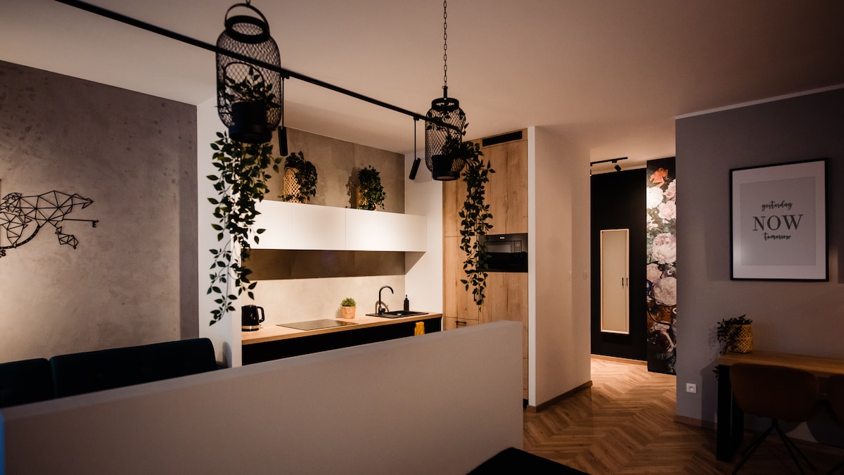 A modern kitchen area features a minimalist design with hanging planters and warm lighting. Black appliances complement the white cabinetry, while a sink is seamlessly integrated into the countertop. The space transitions smoothly into a hallway, showcasing stylish decor and additional plant arrangements.
