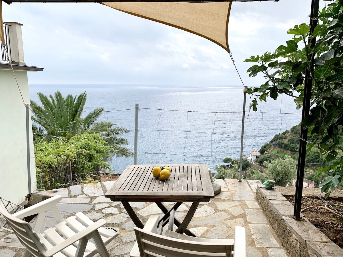 I Limoni di Thule Sea Views Garden Terrace Guesthouses for