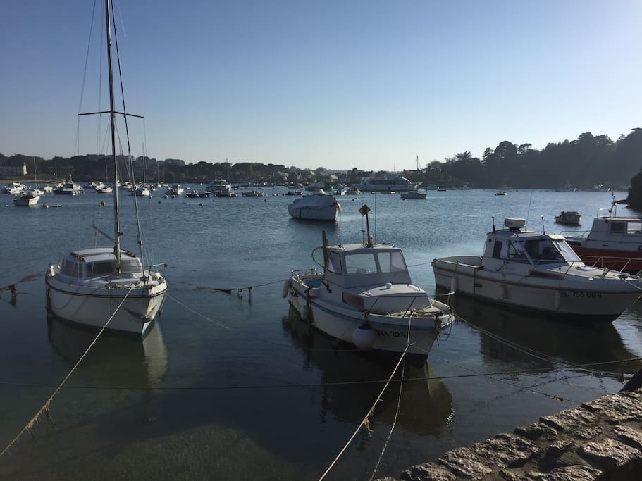 port de Ploumanac'h à 20 m